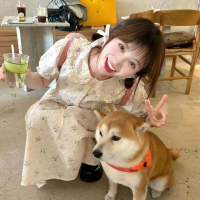 我的会长大人